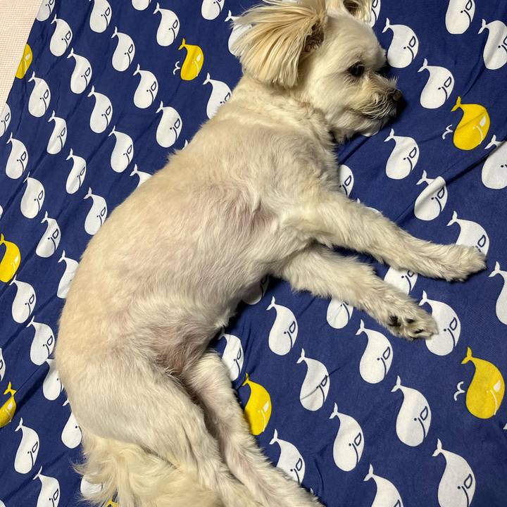 C87ae2b1 29fb 4540 8aaa 48d5168b4679 1660309565005