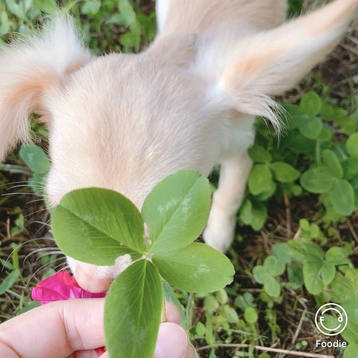 C87b098d 24ce 4e11 8806 ec30005c3341 1595197132607