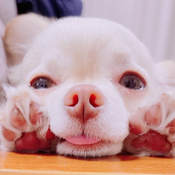 C87b18d2 91c6 4e09 8a44 9160c6e6c02f 1677889889605