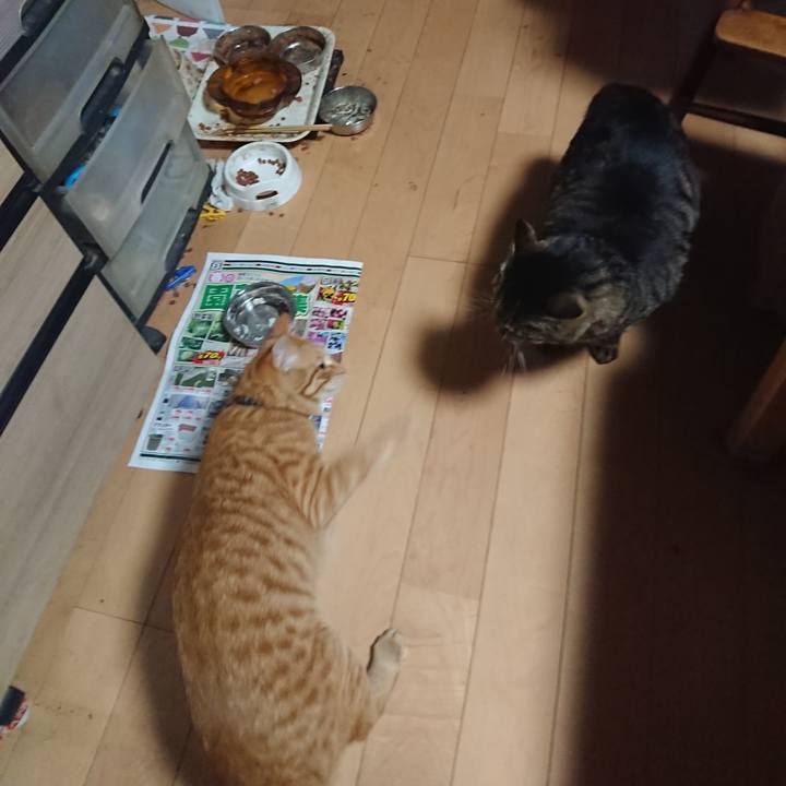 C87b633c eee3 4e1b 9593 2c7c742f85ee 1647512355057