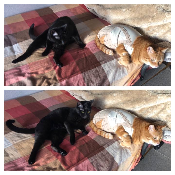 C87b7f88 b92b 4659 844f 4764019c2a4c 1681079003586