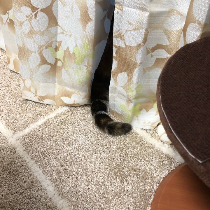 C87b8a69 83bc 48ca bba6 0cb46a8d7b10 1527499136925