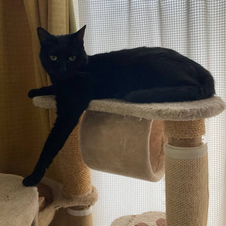 C87b9cb7 296f 4644 8e3d 411d590a1785 1764474104020