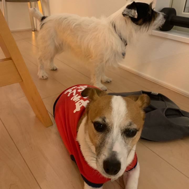 C87bb1ab 448f 4c83 ba5a f903d356138e 1623755375720