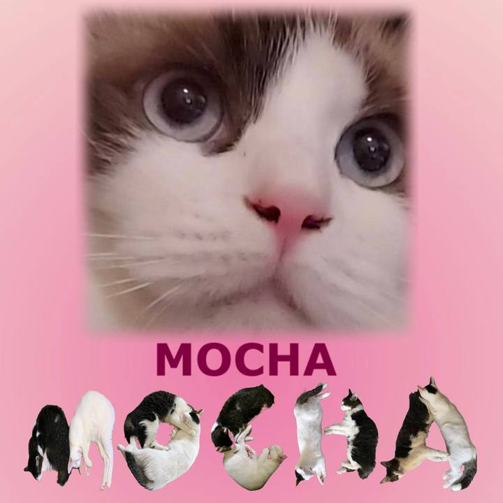 C87bbec9 fa9b 4367 ac47 97e231421d4e 1669508683993