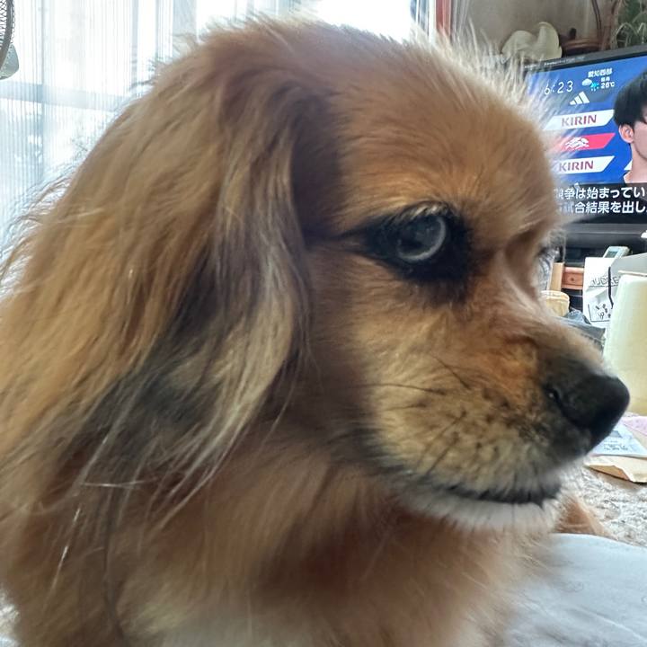 C87bbffe f81d 495e b455 016123e0374c 1686779532537