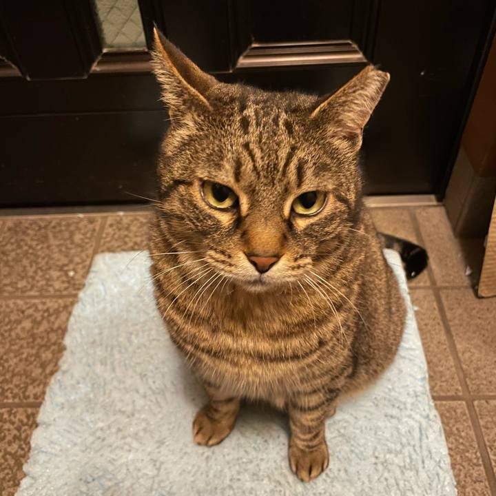 C87bc908 5240 4e4a 990c 73203b2b343f 1615808937954