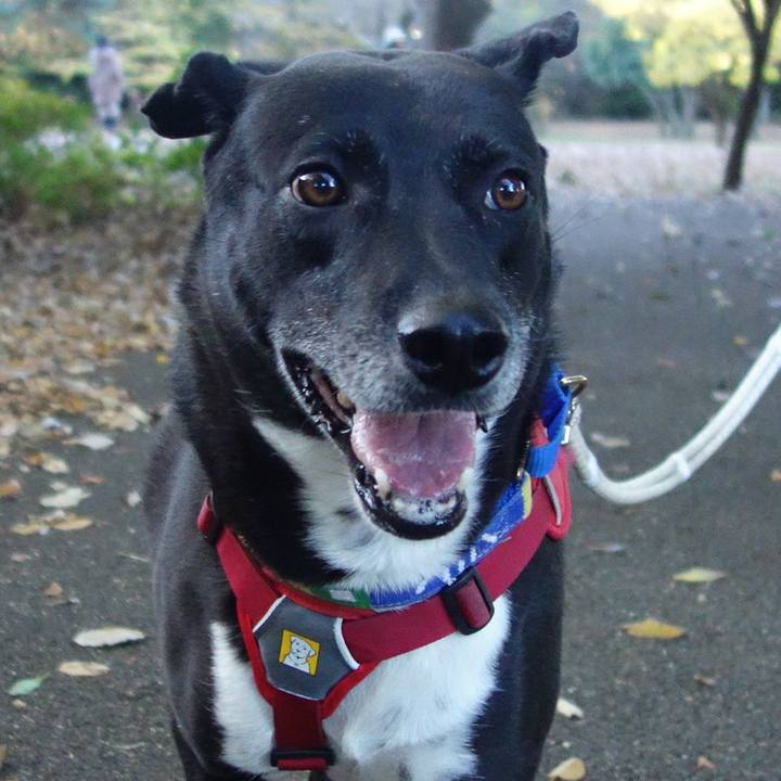 C87c0397 815f 4950 8377 319818bed18a 1669506045752