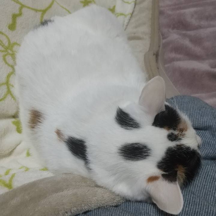 C87c10a3 2616 4dd3 aecd 8834f7042d83 1676032325444