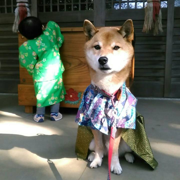 C87c2ee0 59e9 460b 83f5 b6ce6c4293d6 1578908490249