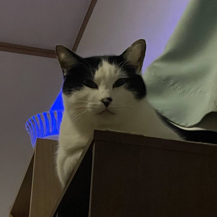 C87c4e05 f813 47ac bf9f 45fe4d6269c4 1675779268030