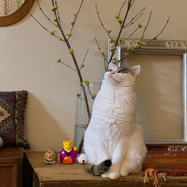 C87c60ca 9ac9 4296 b7fb 7a6e8aa9375e 1678096150705