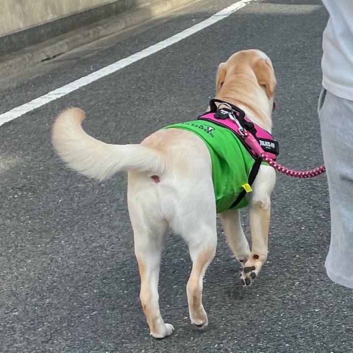 C87cda4f ee02 4872 83c2 4740534b64df 1626130243077