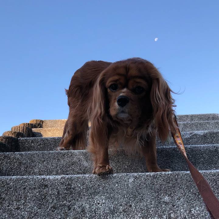 C87ce0da bc74 4705 9618 2af463c44426 1607127429339