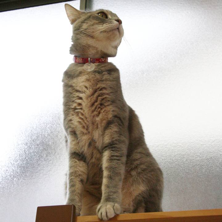 C87cfe1f 3847 49da a331 68ba608662c7 1521722448896