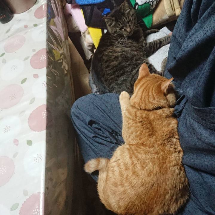 C87d0faf 3c89 4ae2 806e 2221f50f4cce 1652616344027