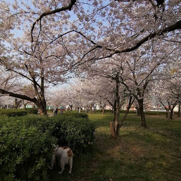 C87d5149 f46b 4d83 ad1e cef9e81fa978 1617015464458