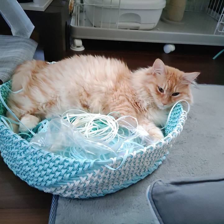 C87d884a d1d4 4489 9963 d9d398929e23 1656571942659