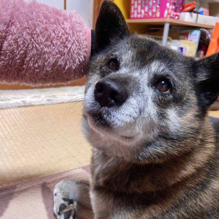 C87d99a4 2f02 4f28 bbf3 ed2b3c9dc418 1675297747141