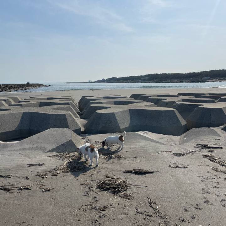 C87daaa0 40f0 4263 91cf 54432109137d 1746056955781