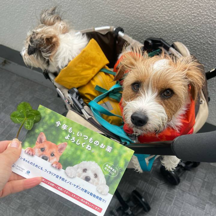 C87de143 68dd 4275 87e2 7446581506ba 1774918868503