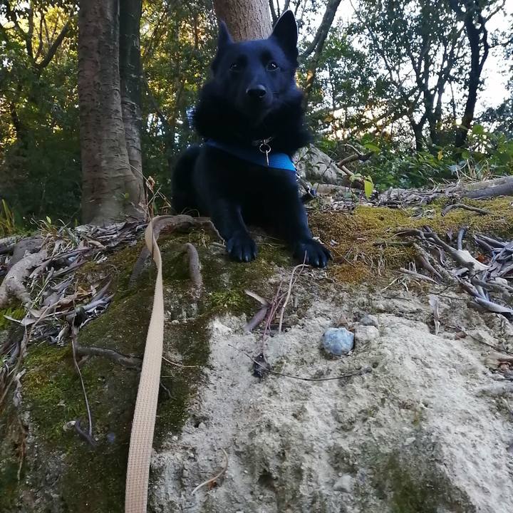 C87e009d e23a 4075 a33d fceda29ee300 1610235275019