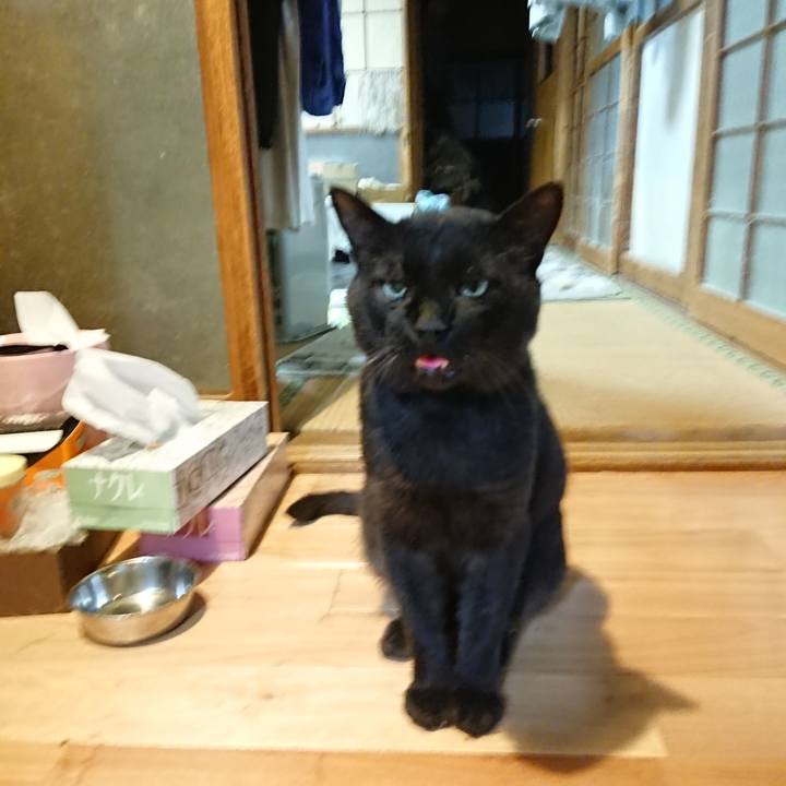 C87e23a4 cc9a 42e5 b0d4 2a5e45ba42ee 1627554990668