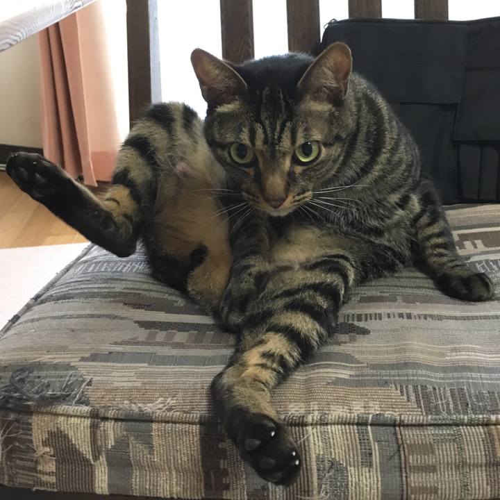 C87e270d de17 48fd a679 986b7ebea976 1540270195919