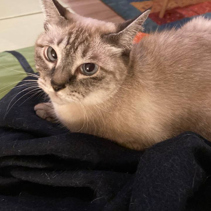 C87e59ee 04cd 4472 a38d 790fbe34b9b7 1665150788371