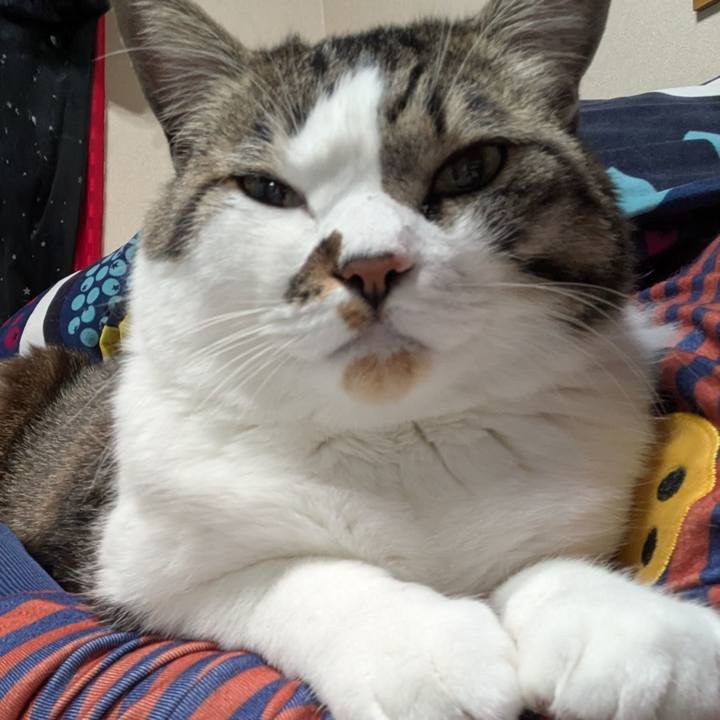 C87e5e63 6874 4d10 98c6 5270c53958b8 1774004881505