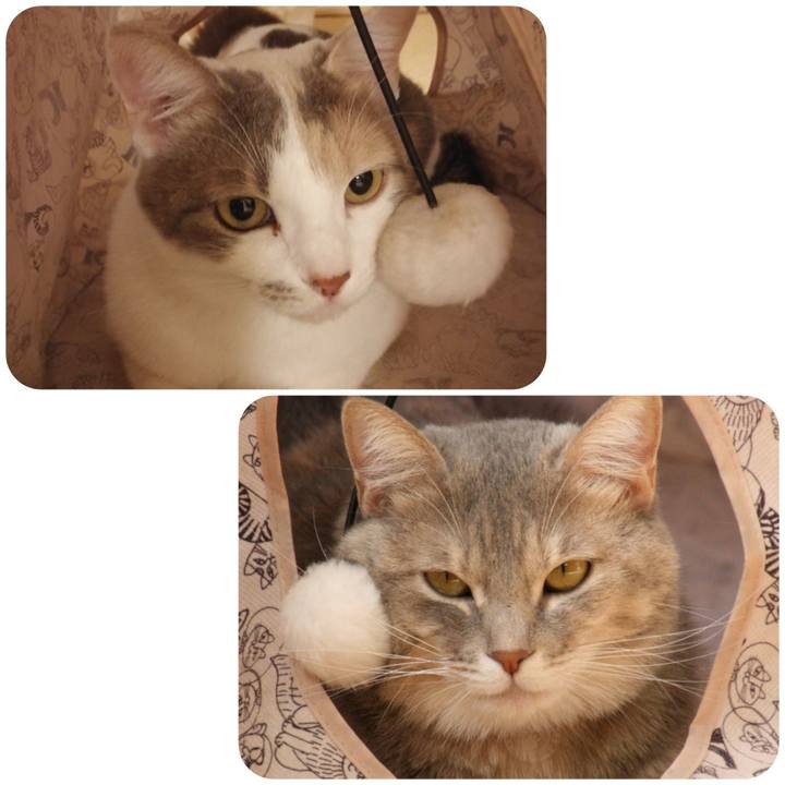 C87eb190 7854 46ef 8b60 33b46c27316c 1540537236233