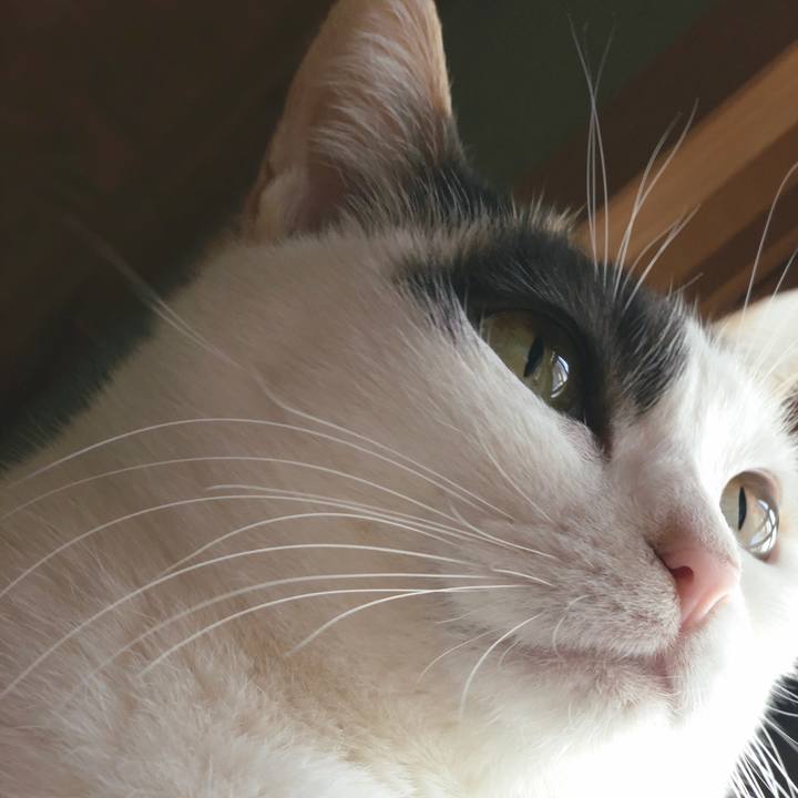 C87ecc6a e22e 4bc7 8897 a7a1b74331c1 1554774597961