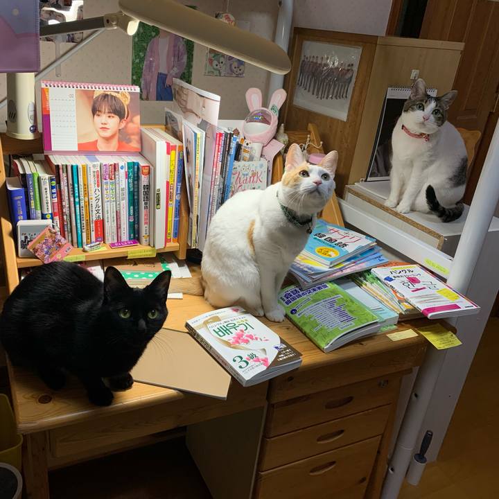 C87ef501 8b0c 4ad5 82f2 7bdcae664ba4 1584044964450