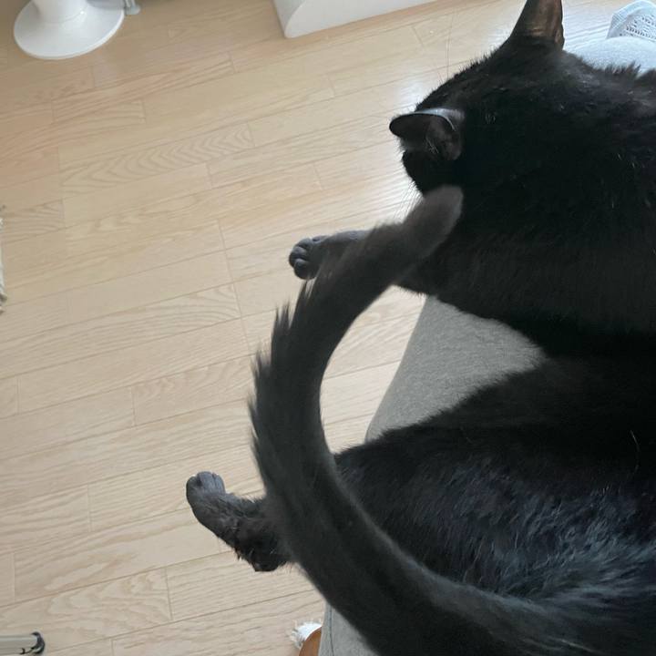 C87efa6f 9117 445a a036 da7e7bcf91dc 1655025364918