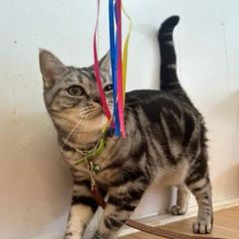 C87f0dba 51fc 4f2b add3 e986c70f6034 1703243435941