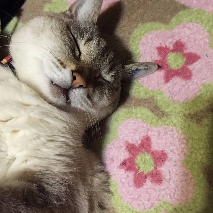 C87f19d2 81d7 4b01 82e1 428f98000078 1550920867705