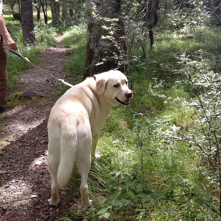 C87f1ed5 80c5 42cd a7e8 e860c9e569e1 1659490819553