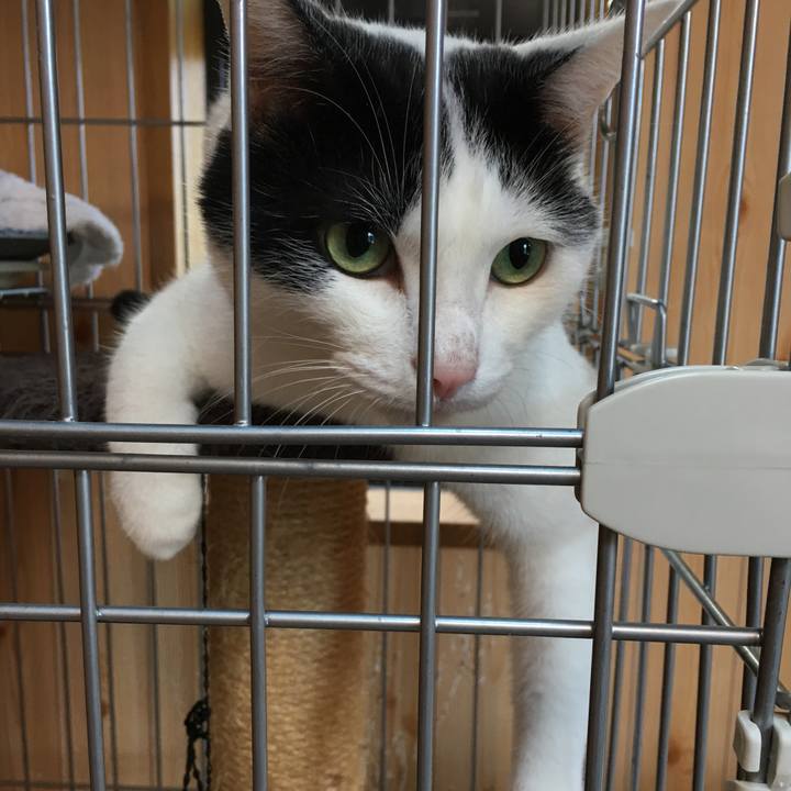 C87f2fdc 094a 49db 801a ff00e3df6406 1536232096353