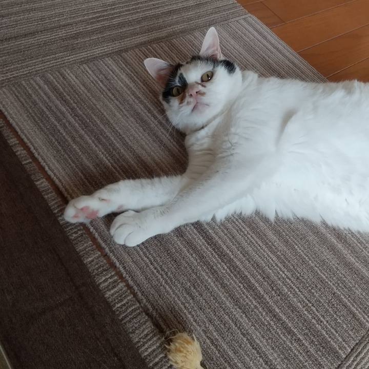 C87f39b6 b63f 456e 88f3 d790339cb8a5 1625288016452