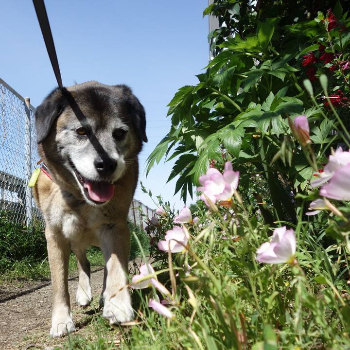 C87f81b6 87c4 4335 8a77 a47e252a1b38 1556415451647