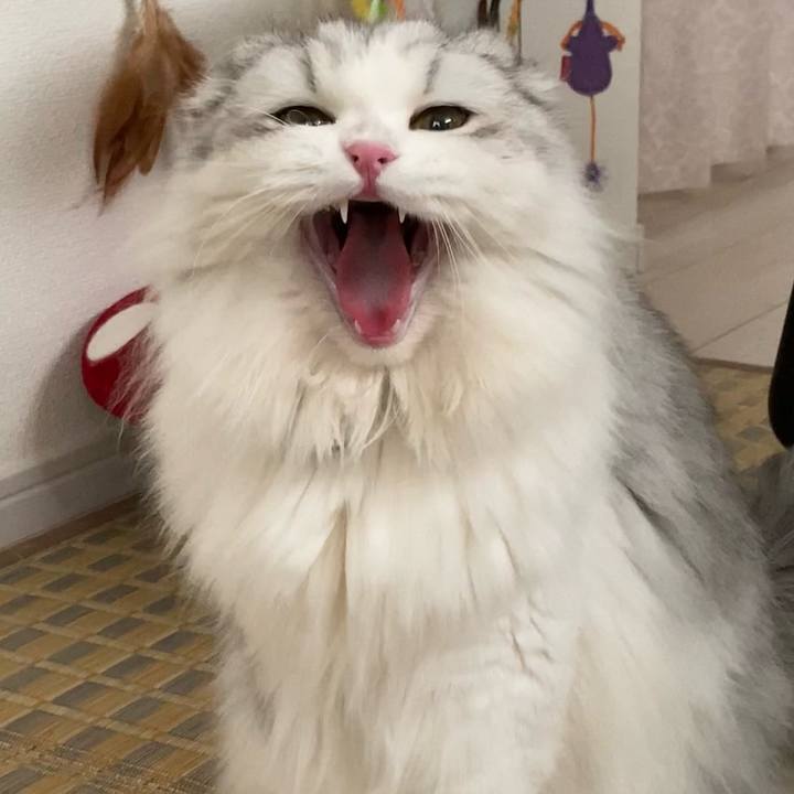 C87f8478 d115 469c 837d f29de8014a16 1630966757165