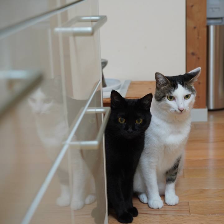 C87fce1f fee3 4534 af94 ad41fd9c46c6 1629289463273