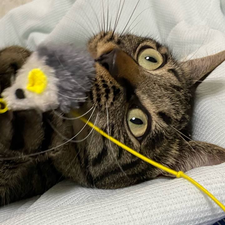 C87fd6ca 0865 47f0 a739 0208b08204c2 1655897314740