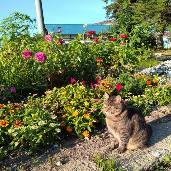 C87fe98a b6da 4431 b5f9 e9e0671705e5 1690495165922