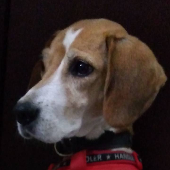 C8800492 0c31 4c1f b848 ceddc9cc7f9e 1700665080017