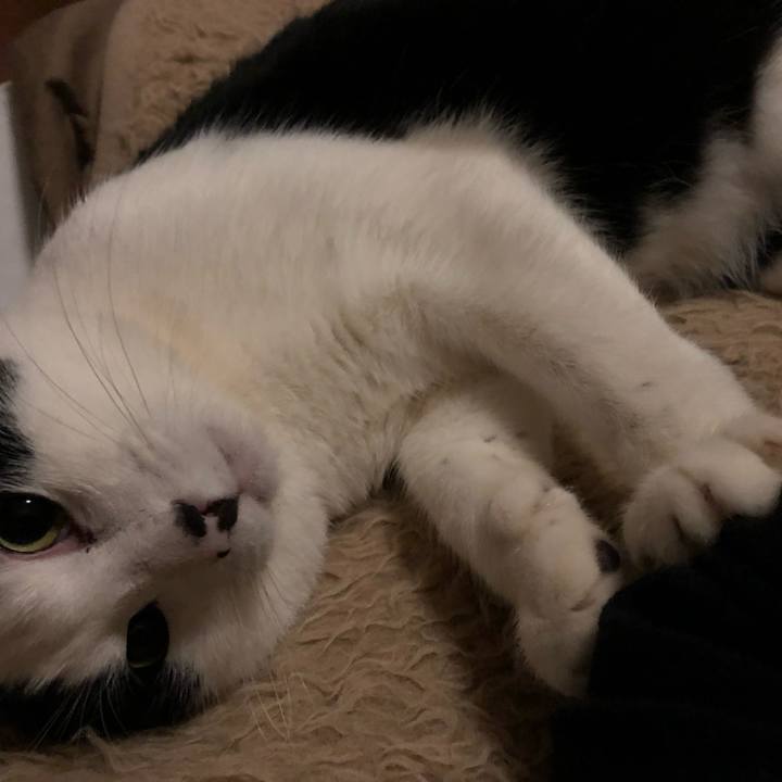 C8802b26 2b95 4261 bd66 dde166f51139 1546626315927