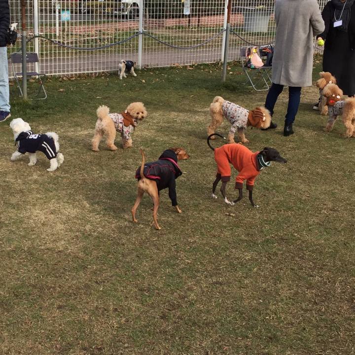 C88043b7 94de 4aa2 9a6e 1f121618fbb6 1546751126521