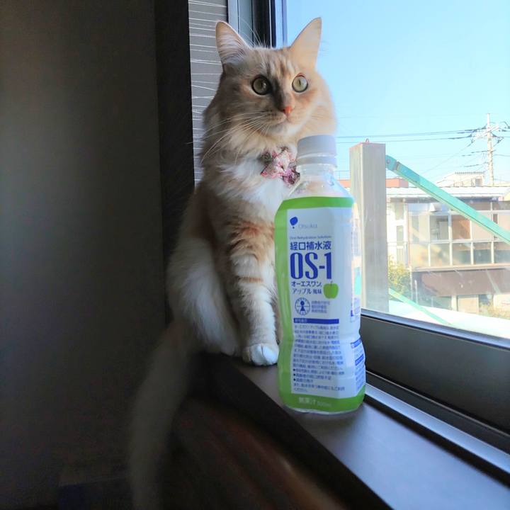 C8806d5e ce44 4598 ae00 ba9ae34b52e1 1668740160620