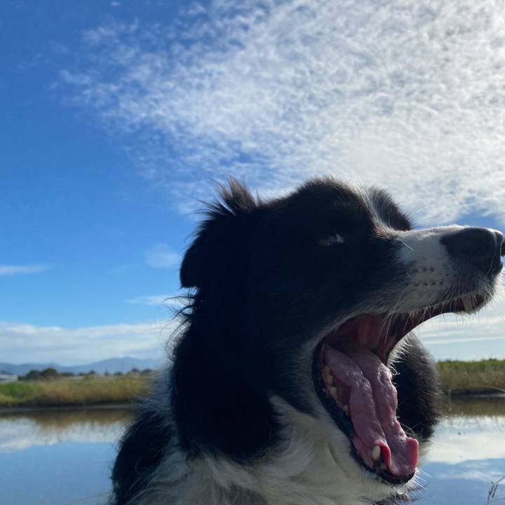 C8808946 44af 4c46 8514 6202a8e316f6 1632873984154