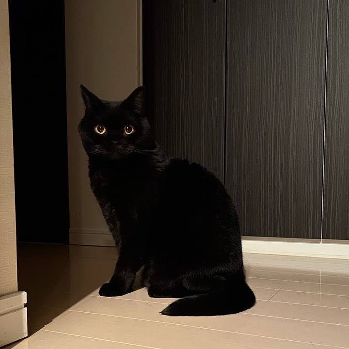 C8808db0 c5b2 4de8 b2f9 7614b51b1b5b 1744024423608